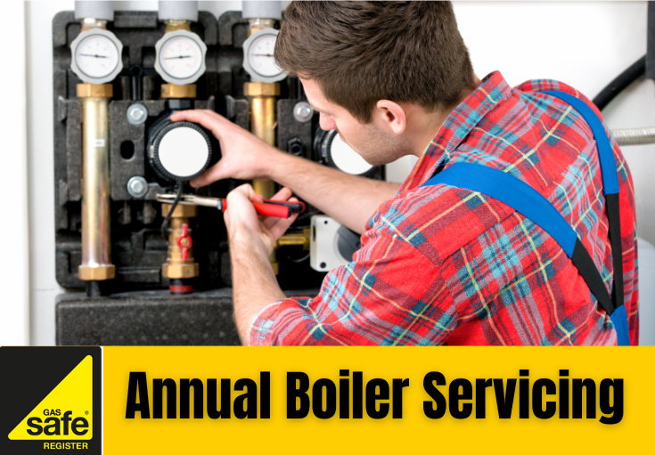 annual boiler servicing Welling